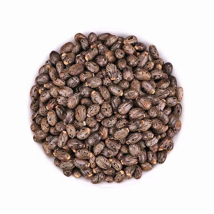 怎樣操作緬甸蓖麻籽進口清關(guān)手續(xù)？