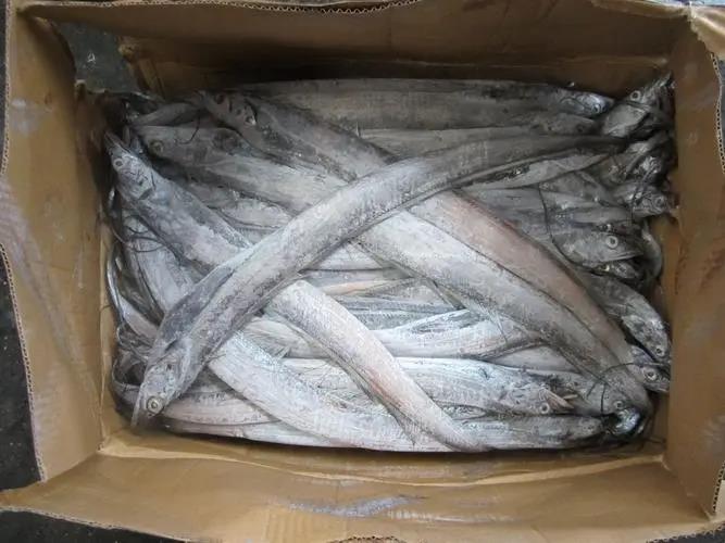 馬來西亞凍帶魚進(jìn)口代理清關(guān)要什么單證？
